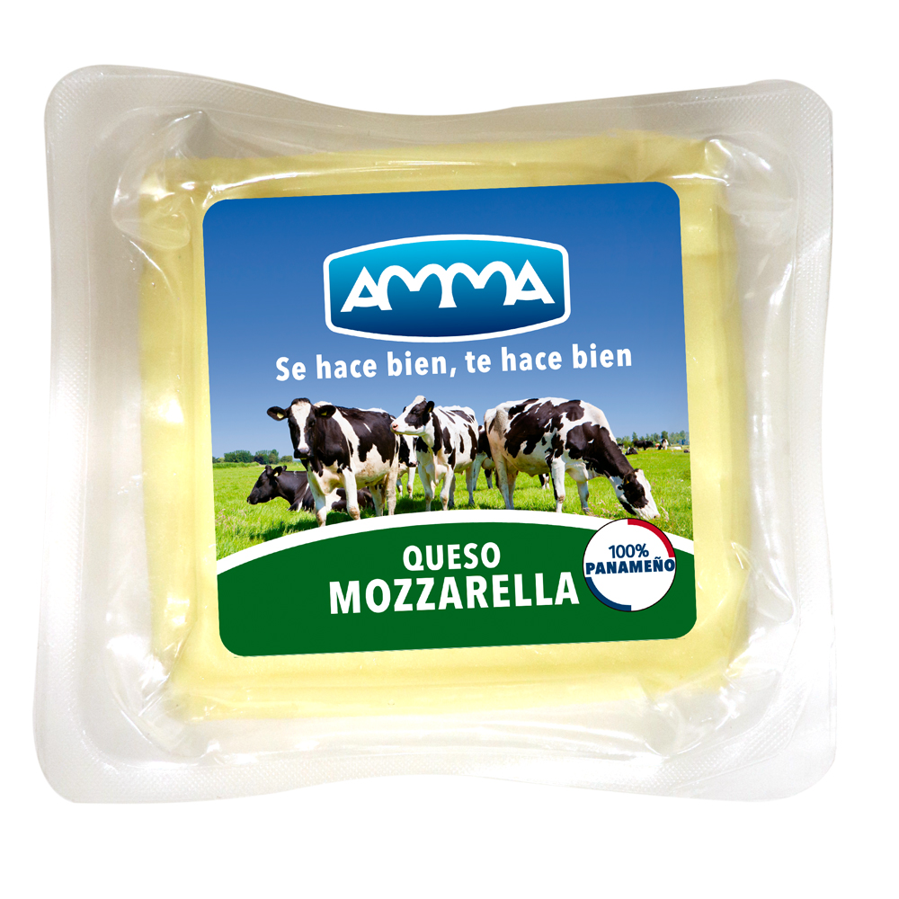 AMMA QUESO MOZZARELLA 200G 24UND/CJ